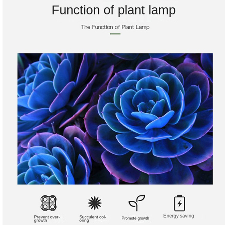 PwwQmm LED Plant Grow Lamp USB - Plant Growth Regulator reseña y precio