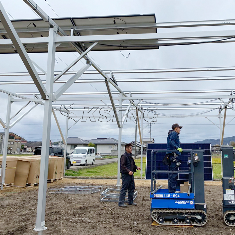 Japan`s New Agriculture Alumin - Sustainable Agriculture/Farming reseña y precio