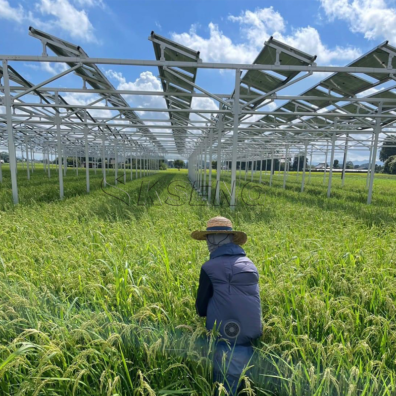 Japan`s New Agriculture Alumin - Sustainable Agriculture/Farming reseña y precio