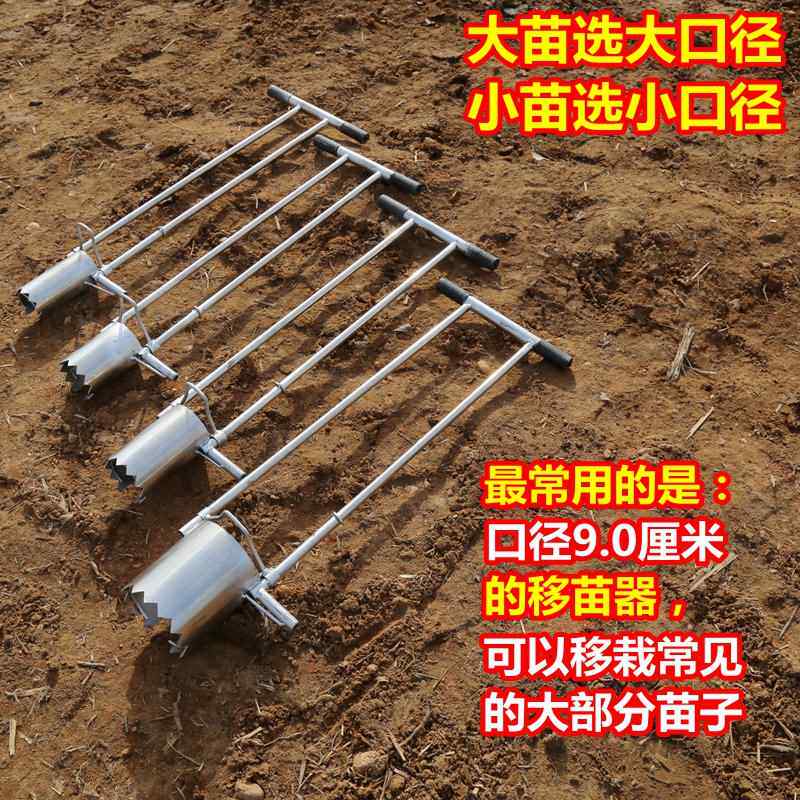 Vegetable seedling transplante - Vegetable Transplanter reseña y precio
