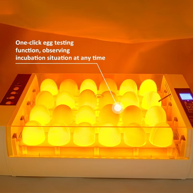 20S Mini Poultry  Candling Tes - Farming Africa reseña y precio