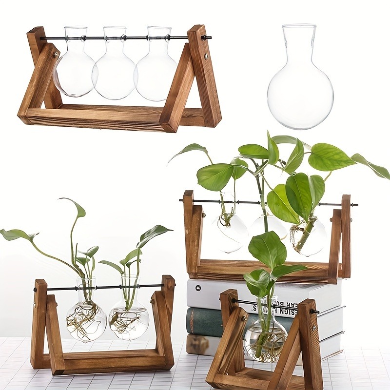 Tabletop Glass Planter Propaga - Plant Growth Regulator reseña y precio
