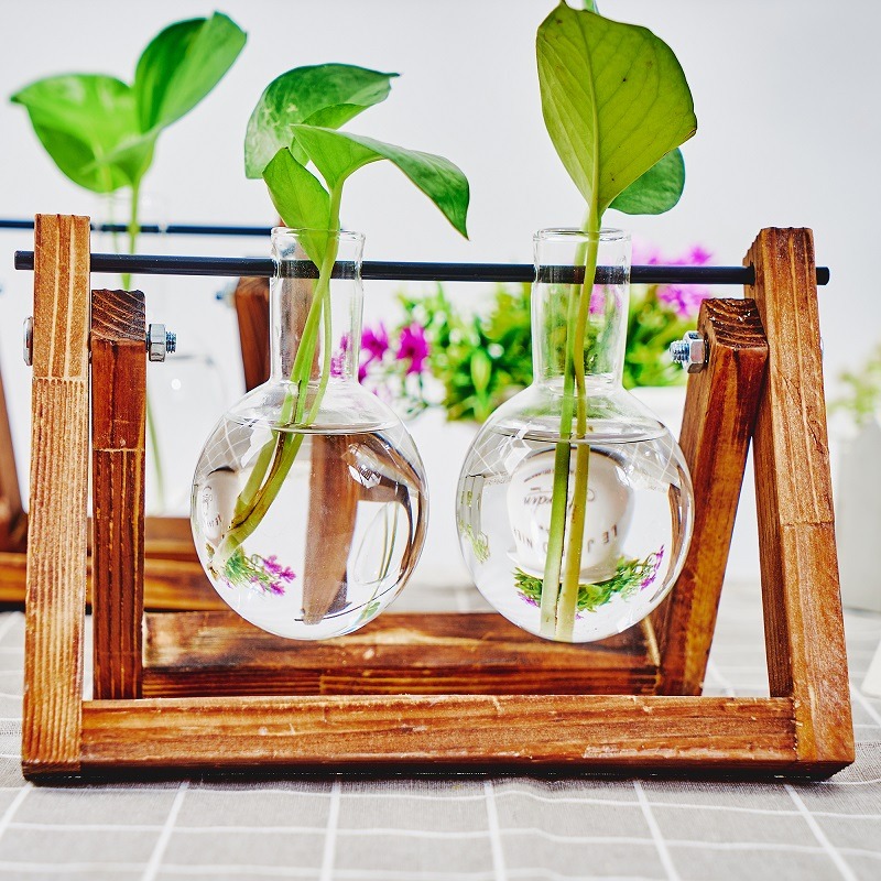 Tabletop Glass Planter Propaga - Plant Growth Regulator reseña y precio