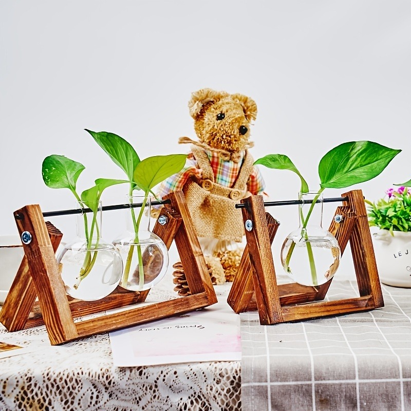 Tabletop Glass Planter Propaga - Plant Growth Regulator reseña y precio