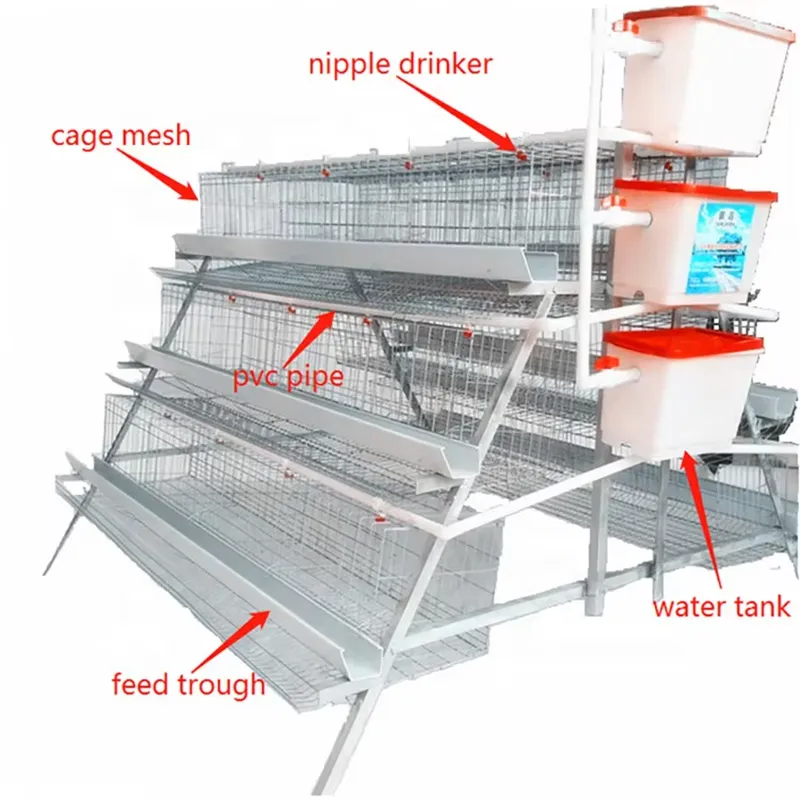 H Type Layer Cages for Poultry - Farming Africa reseña y precio
