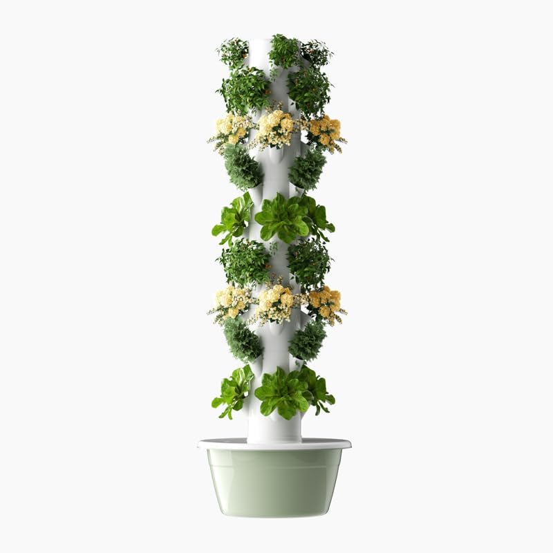 Vertical Hydroponic Grow Tower - Vegetable Transplanter reseña y precio